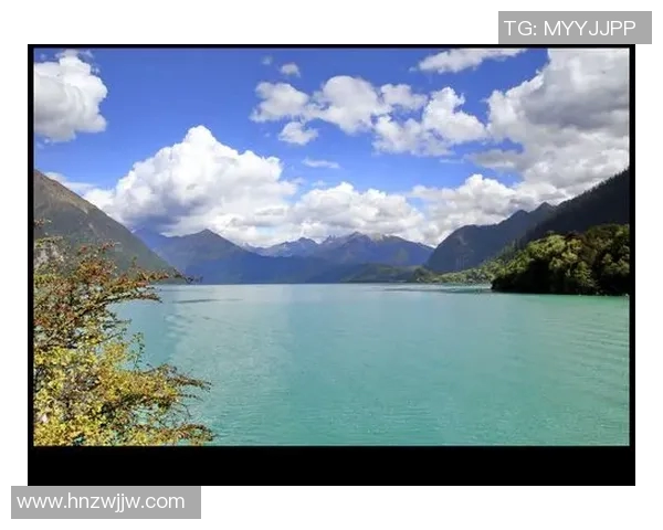 可兰白克的传奇人生与文化影响力探讨之旅